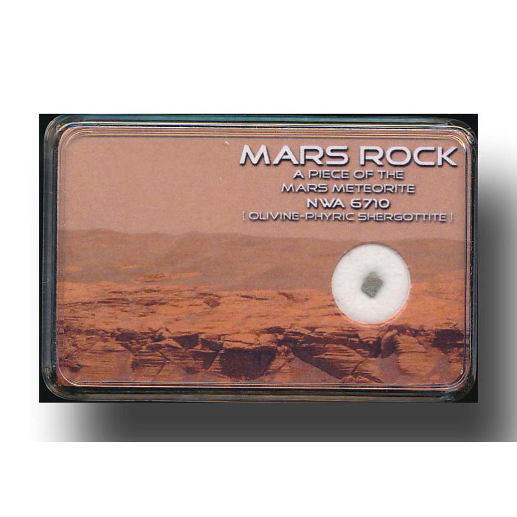Martian meteorite NWA 6710 - Marsrock