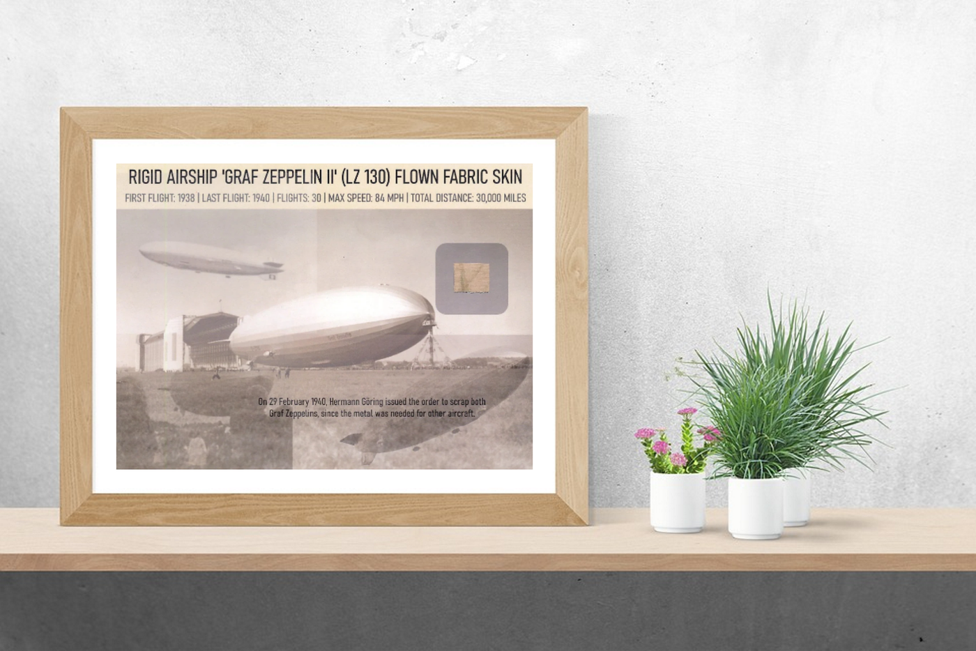 Graf Zeppelin II rigid airship LZ 130 flown fabric skin